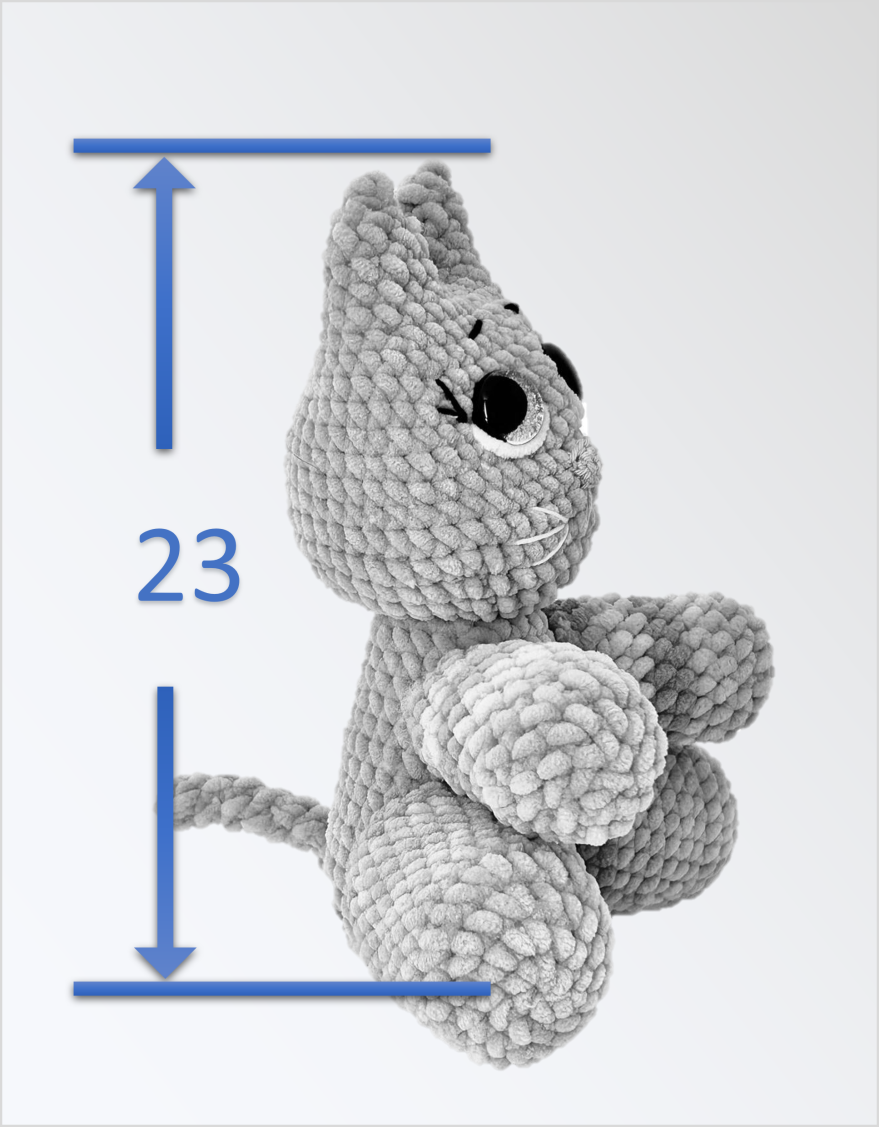 BELLIGINN - Imagen 7